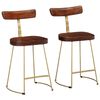 vidaXL Barové stoličky 2 ks 49x43x79 cm Masivní dřevo Mango