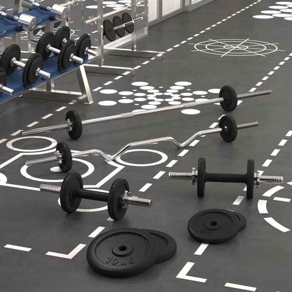 vidaXL Sada obouručn&iacute; a jednoručn&iacute;ch činek se z&aacute;važ&iacute;m 60 kg litina