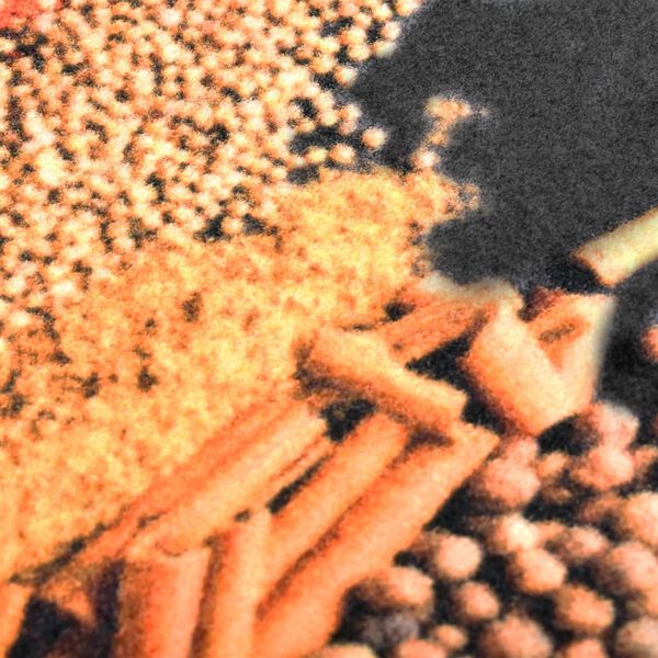 vidaXL Kuchyňský koberec pratelný Koření 60 x 300 cm