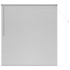vidaXL Žaluziov&eacute; rolety Stř&iacute;brn&aacute; 175 x 155 cm Hlin&iacute;k