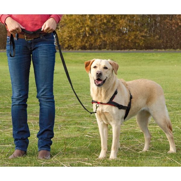TRIXIE Ps&iacute; postroj Lead'n'Walk Soft rozměry L&ndash;XL 65&ndash;105 cm čern&yacute; 13057