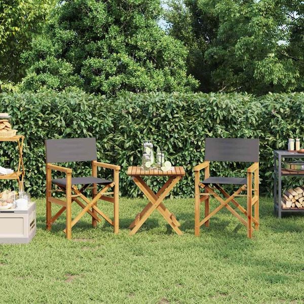 vidaXL Skl&aacute;dac&iacute; režis&eacute;rsk&eacute; židle 2 ks &scaron;ed&eacute; masivn&iacute; teakov&eacute; dřevo