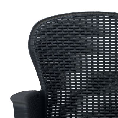 vidaXL Zahradní židle 2 ks + podušky antracitové plast ratanový vzhled
