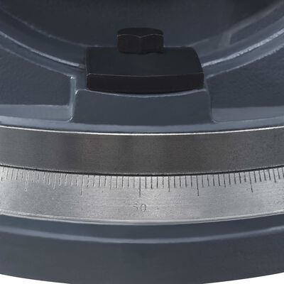 vidaXL Sklopno-otočný svěrák 100 mm