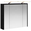 vidaXL Koupelnov&aacute; zrcadlov&aacute; skř&iacute;ň Čern&yacute; dub 73,5 x 16 x 62,5 cm