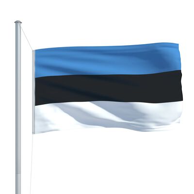 vidaXL Estonská vlajka a stožár hliník 6,2 m