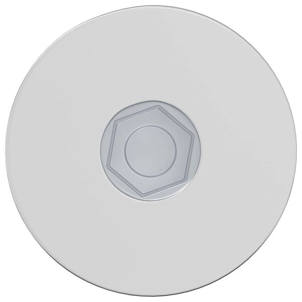 vidaXL &Scaron;roub 12 pcs Zinkovan&yacute; 5 x 40 mm Železo