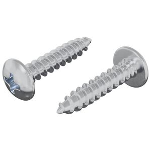 vidaXL Dřevěn&eacute; &scaron;rouby 2 pcs Stř&iacute;brn&aacute; M4 x 20 mm Ocel