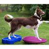 FitPAWS Balančn&iacute; disk pro zv&iacute;řata 56 cm růžov&yacute;