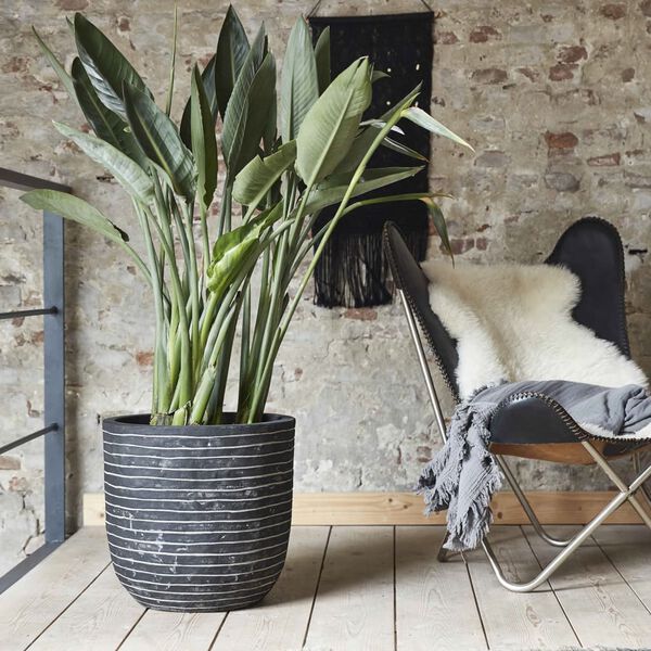 Capi Kulatý květináč Nature Row 54 x 52 cm antracitový KRWZ935