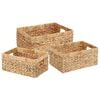 vidaXL &Uacute;ložn&eacute; ko&scaron;e 3 pcs Př&iacute;rodn&iacute; 40 x 30 x 18 cm Vodn&iacute; hyacint