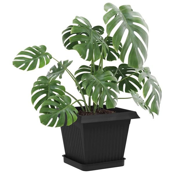 Zobrazen&iacute; obr&aacute;zku produktu 3 z 10