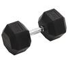 vidaXL Jednoručn&iacute; činka 30 kg litina
