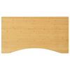 vidaXL Deska psac&iacute;ho stolu 100 x 60 x 2,5 cm bambus