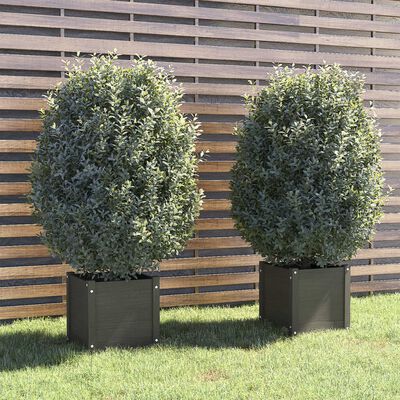 vidaXL Zahradní truhlíky 2 ks šedé 40 x 40 x 40 cm masivní borovice