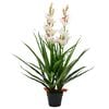 vidaXL Uměl&aacute; rostlina orchidej člunatec s květin&aacute;čem 100 cm