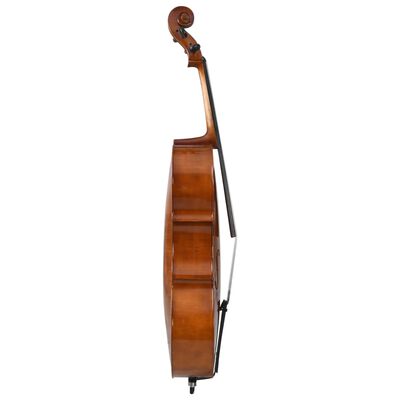 vidaXL Cello set s obalem a smyčcem z přírodních žíní tmavé dřevo 4/4
