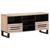vidaXL TV skř&iacute;ňka 100 x 34 x 46 cm masivn&iacute; mangovn&iacute;kov&eacute; dřevo