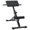 vidaXL Hyperextension lavice Čern&aacute; 100,5 x 70 x 78 cm