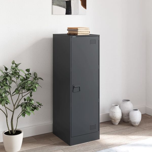 vidaXL Př&iacute;born&iacute;k antracitov&yacute; 34,5 x 39 x 107 cm ocel