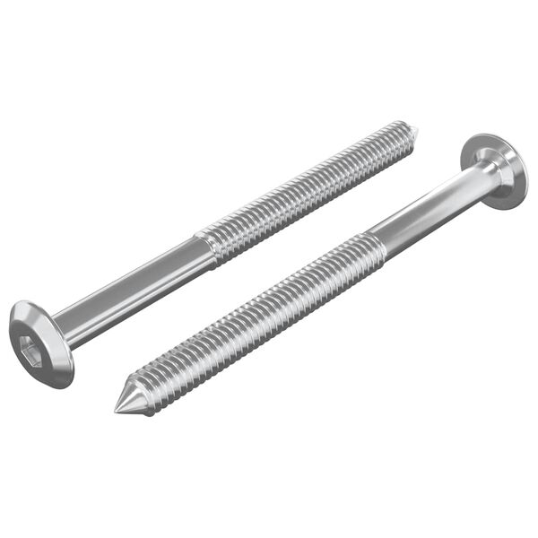 vidaXL N&aacute;bytkov&eacute; &scaron;rouby 2 pcs Stř&iacute;brn&aacute; M6 x 70 mm Ocel