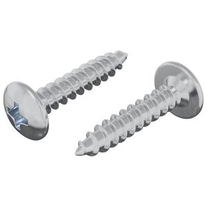 vidaXL Samovrtn&yacute; hřeb&iacute;k 2 pcs Zinkovan&yacute; 4 x 20 mm Ocel