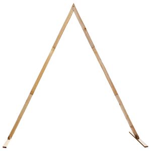 vidaXL Svatebn&iacute; oblouk Světle hněd&aacute; 202 x 95 x 254 cm