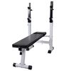vidaXL Fitness posilovac&iacute; lavice rovn&aacute;