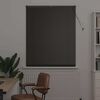 vidaXL Žaluziov&eacute; rolety se z&aacute;clonami Čern&aacute; 175 x 100 cm Hlin&iacute;k