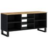 vidaXL TV stolek 100 x 33 x 46 cm masivn&iacute; mangovn&iacute;k a kompozitn&iacute; dřevo