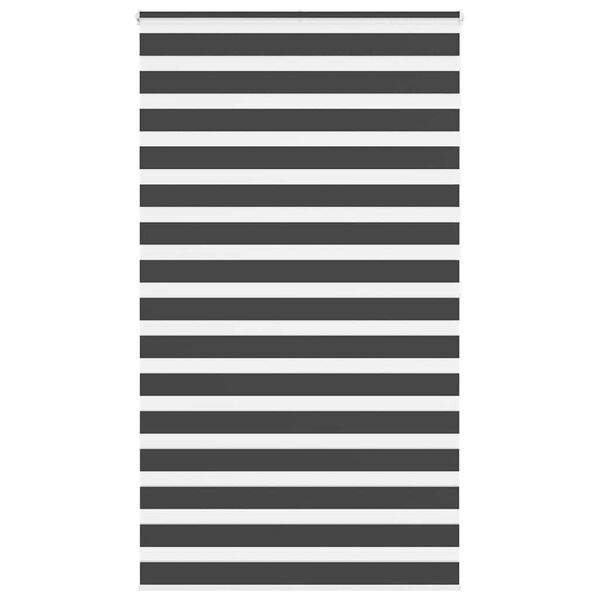 vidaXL Zebra roleta čern&aacute; 125x200 cm &scaron;&iacute;řka l&aacute;tky 120,9 cm polyester