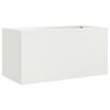 vidaXL Truhl&iacute;k b&iacute;l&yacute; 62 x 30 x 29 cm ocel