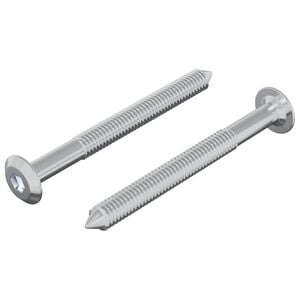 vidaXL &Scaron;roub 2 pcs Stř&iacute;brn&aacute; M6 x 60 mm Ocel