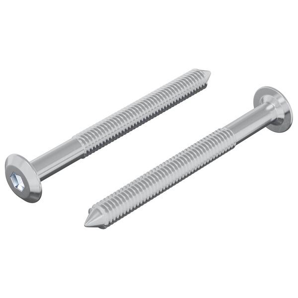 vidaXL &Scaron;roub 2 pcs Stř&iacute;brn&aacute; M6 x 60 mm Ocel