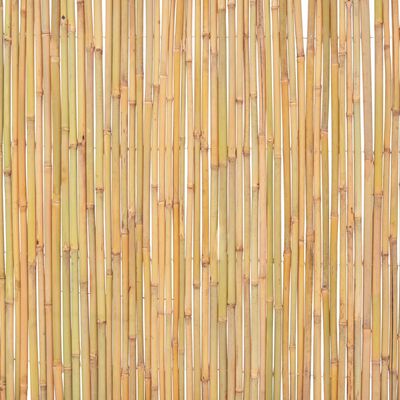 vidaXL Bambusový plot 300 x 100 cm
