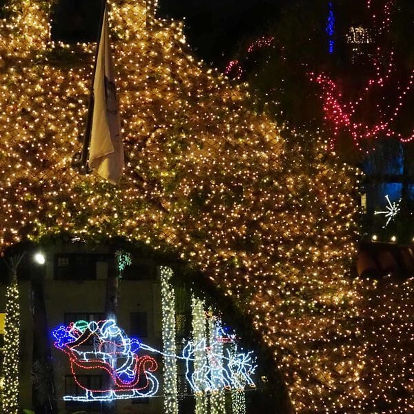 vidaXL Led s&iacute;ť Tmavě zelen&aacute;