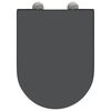 vidaXL Sedátko na toaletu s rychlým uvolněním Antracit