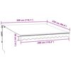 vidaXL Automatická zatahovací markýza antracitová a bílá 300 x 250 cm