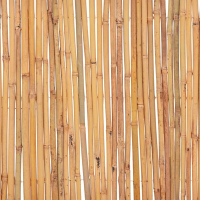 vidaXL Bambusový plot 500 x 50 cm