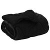 vidaXL Zimn&iacute; přikr&yacute;vka Čern&aacute; 220 x 240 cm Mikrovl&aacute;kno a teddy fleece