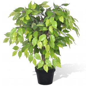 Uměl&yacute; trpaslič&iacute; f&iacute;kus (f&iacute;kovn&iacute;k) v květin&aacute;či 60 cm