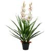 vidaXL Uměl&aacute; rostlina orchidej člunatec s květin&aacute;čem 100 cm