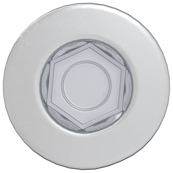 vidaXL &Scaron;roub s hlavou a krytkou 2 pcs Stř&iacute;brn&aacute; M7 x 40 mm Ocel