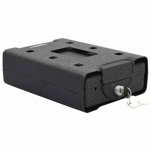 vidaXL Bezpečnostn&iacute; schr&aacute;nka na auto Čern&aacute; 22 x 16 x 7 cm Ocel