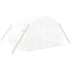vidaXL Skleník s ocelovým rámem bílý 12 m² 4x3x2 m