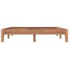 vidaXL R&aacute;m postele masivn&iacute; teakov&eacute; dřevo 160 x 200 cm