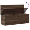 vidaXL &Uacute;ložn&yacute; box hněd&yacute; dub 102 x 35 x 35 cm kompozitn&iacute; dřevo