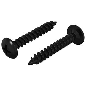 vidaXL Samovrtn&yacute; hřeb&iacute;k 2 pcs Čern&aacute; 4 x 25 mm Ocel