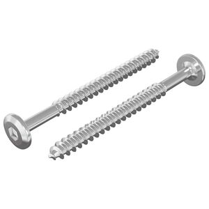 vidaXL Dřevěn&eacute; &scaron;rouby 2 ks Stř&iacute;brn&aacute; M6 x 70 mm Ocel