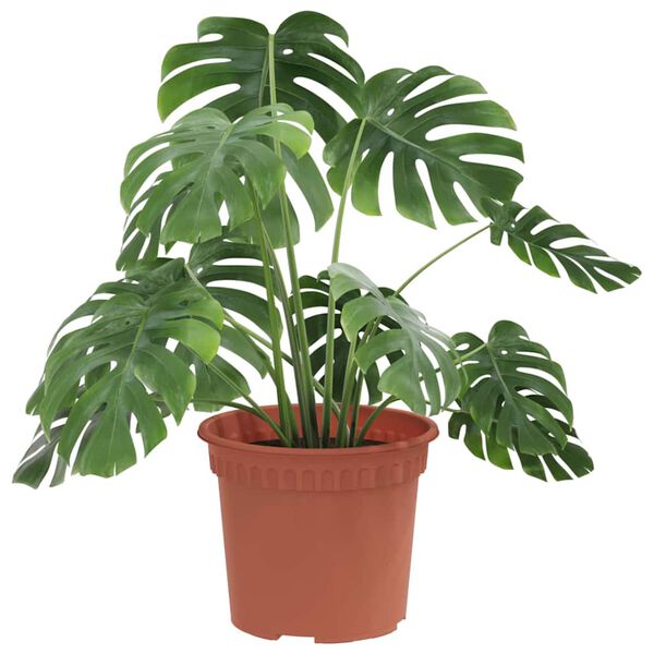 vidaXL Kulat&yacute; květin&aacute;č 24 pcs Cihlově červen&aacute; &Oslash; 12,5 x 10 cm Plast